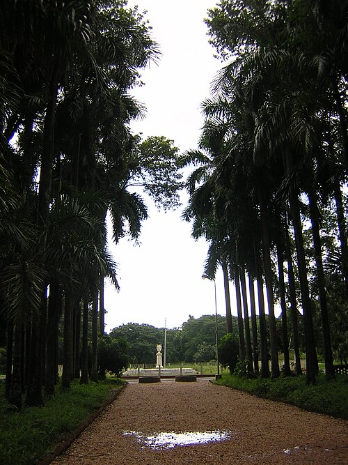 Calcutta Botanical Garden